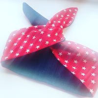 Reversible doggy bandana